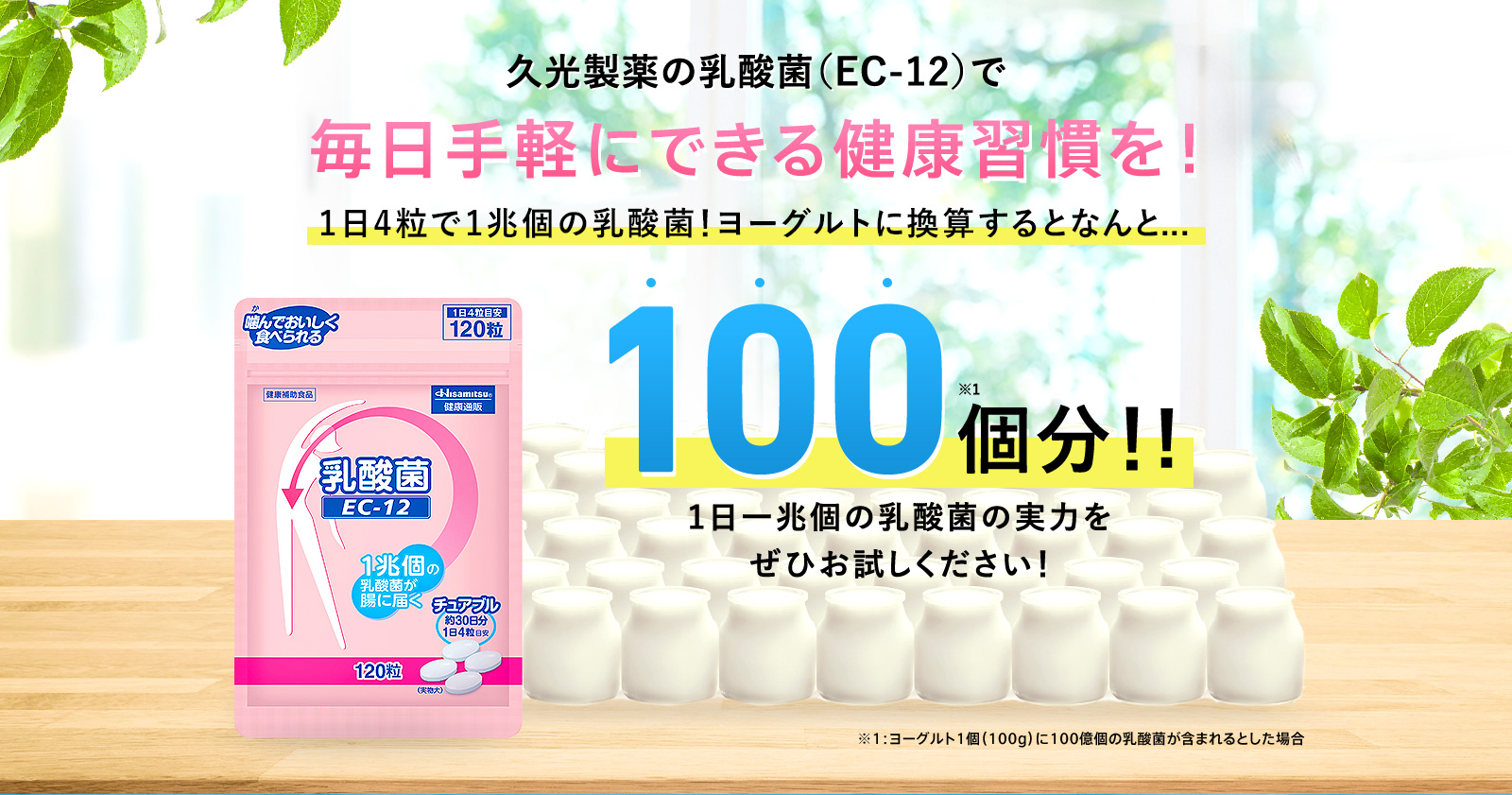 EC-12乳酸菌
