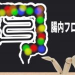 善玉菌を増やし快腸になる 「 乳酸菌酵母共棲培養エキス ・ プシュケー 」